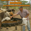 Elaboración y utilización de ensilajes en la alimentación del ganado bovino